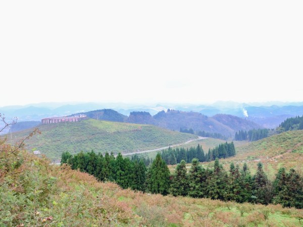 遇見(jiàn)云貴高原:解鎖木瑤醫(yī)生道地藥材基地的“